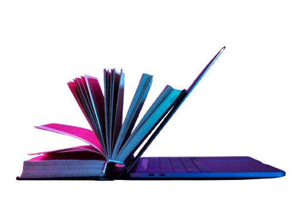 Bestseller Book Bundle